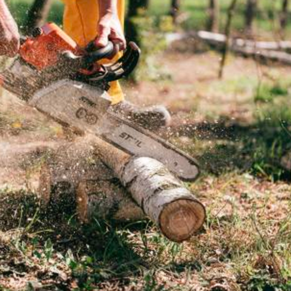 Top 6 Chainsaw Brands That You Cannot Miss