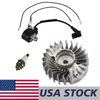 US STOCK - Ignition Coil Flywheel Spark Plug Combo For Stihl MS290 029 Chainsaw 2-4 Days Delivery Time Fast Shipping For US Customers Only