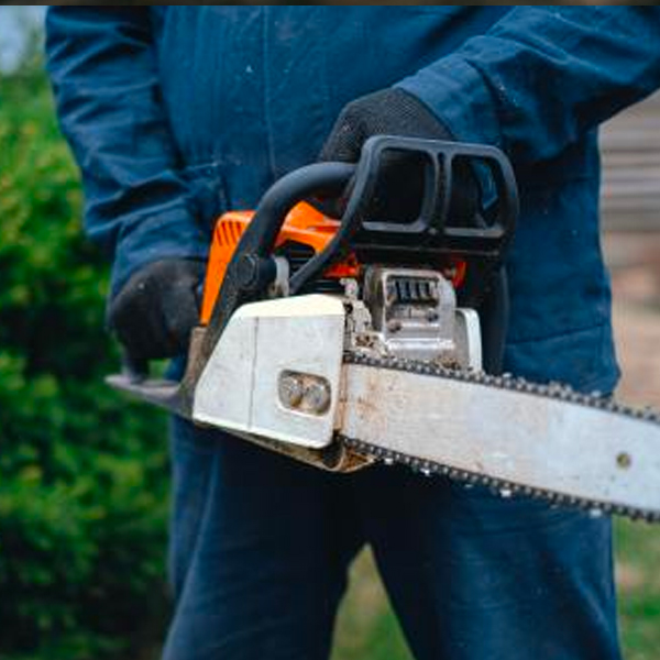 Your Chainsaw Needs Maintenance, Here Is How