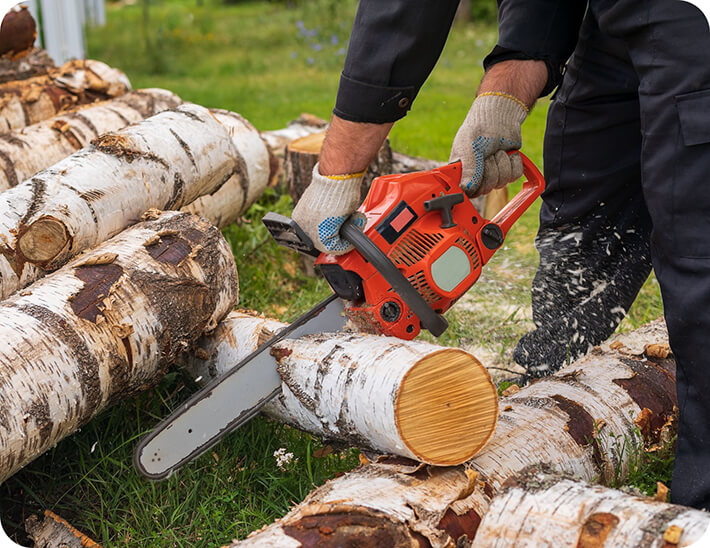 Professional Chinese Chainsaw Manufacturer