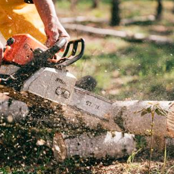 5 Best Wood & Tree Cutting Tools For Landscape Gardener