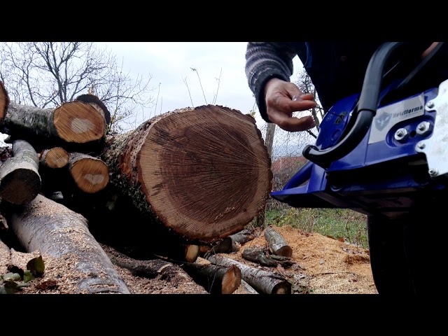 FarmerTec G660 fine tuning - oak 43cm