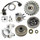 Holzfforma Carburetor Ignition Coil Flywheel Clutch Chain Sprocket with Drum Needle Cage Bearing Combo For ST MS460 046