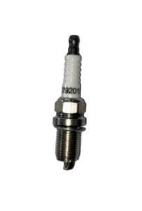 Spark Plug M14 1.25 (thread length 19mm) For Briggs & Stratton 792015